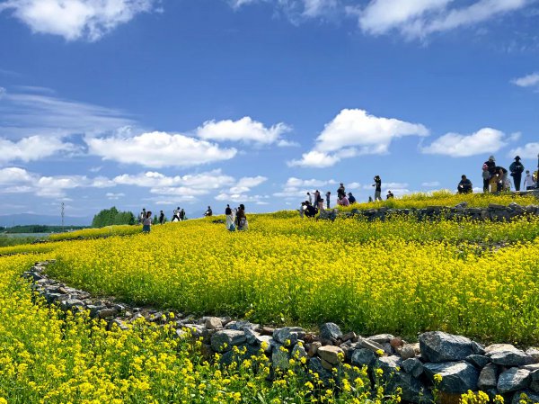 温榆河在北京什么位置