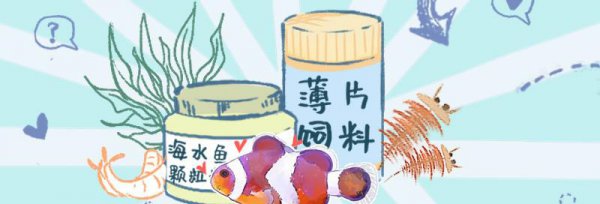 小鱼几天喂一次鱼食