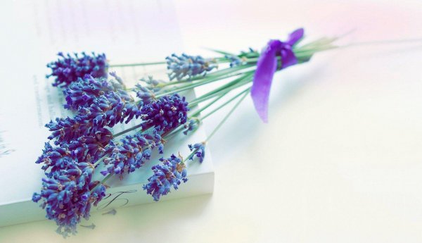 金牛男和射手女合适吗