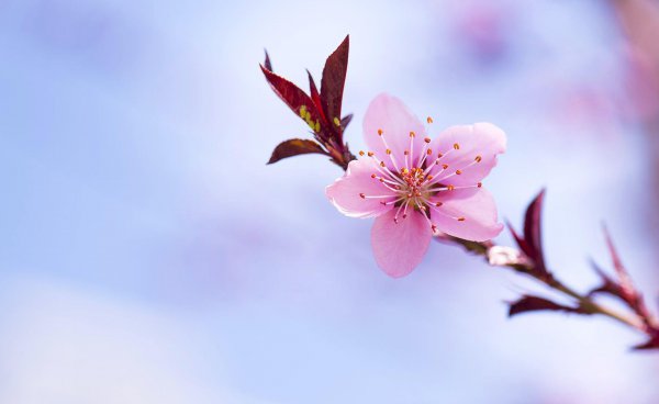 金牛男和射手女合适吗