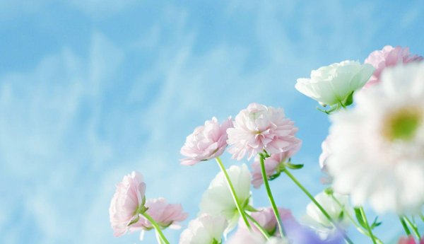 金牛男和射手女合适吗