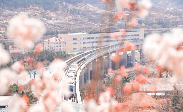 山东有地铁的城市