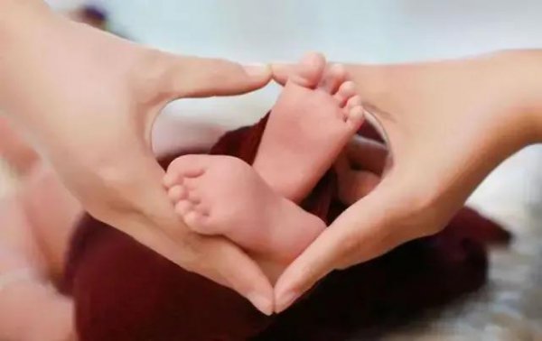 一辈子租房子合算吗