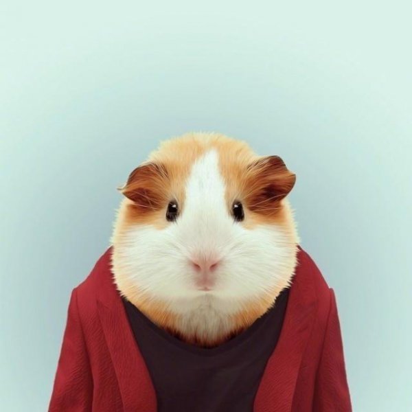 高情商早安暖心话