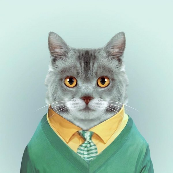 高情商早安暖心话