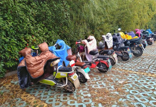 农村最适合做什么生意