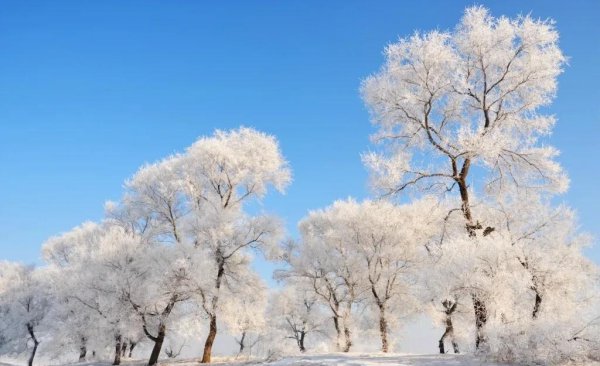 吉林省好玩的地方排名