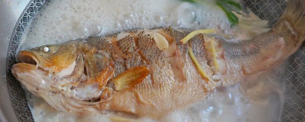 鲈鱼和什么煲汤比较好
