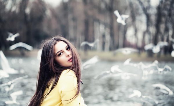 一本读懂女人心理的书