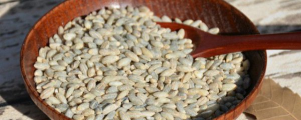 青稞有什么功效