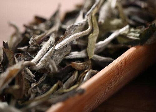 寿眉贡眉白牡丹的区别在哪里