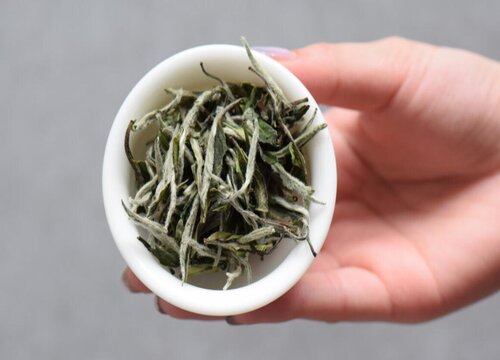 寿眉贡眉白牡丹的区别在哪里