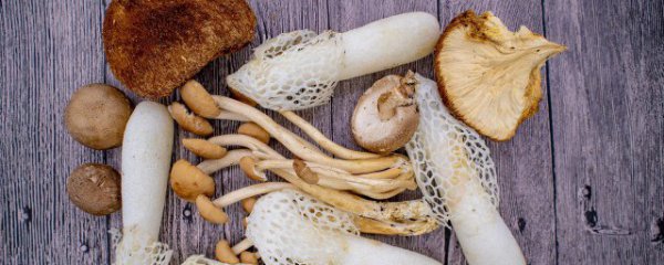 竹荪如何制作更好吃