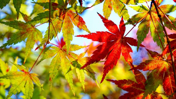 江西省庐山景点有哪些