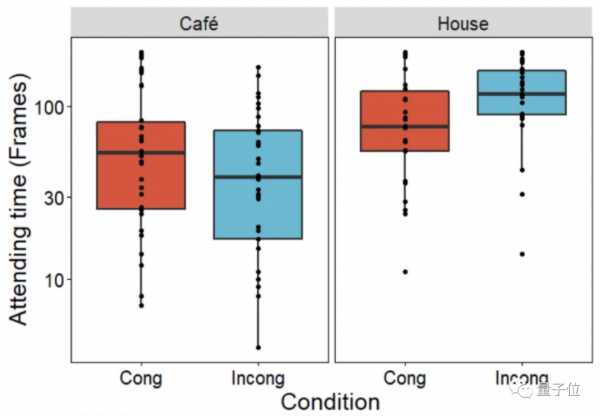 猫咪是否听懂自己名字