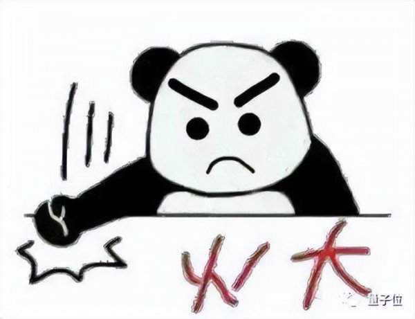 猫咪是否听懂自己名字