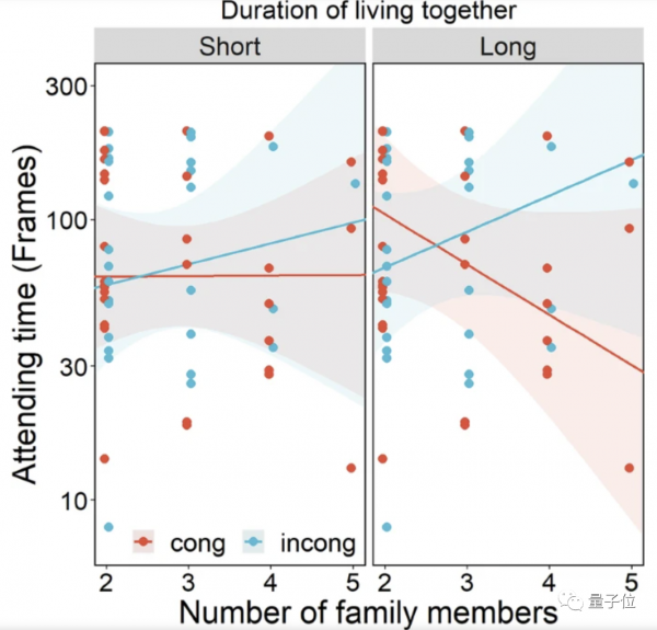 猫咪是否听懂自己名字