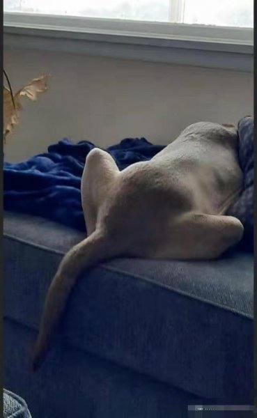 十大错觉图盘点