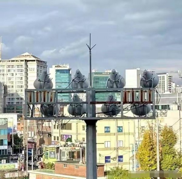 十大错觉图盘点