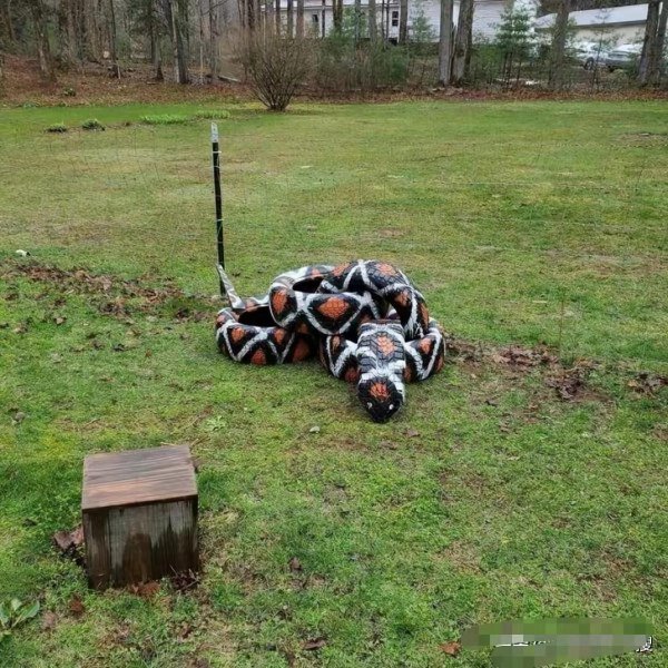 十大错觉图盘点