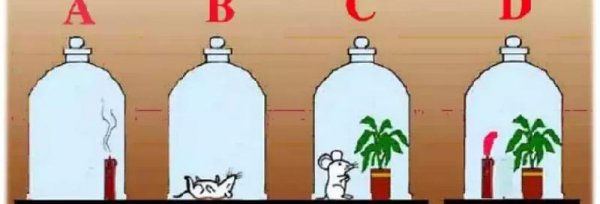 光合作用的化学方程式