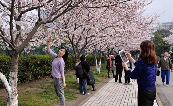 国内建筑学专业大学排名