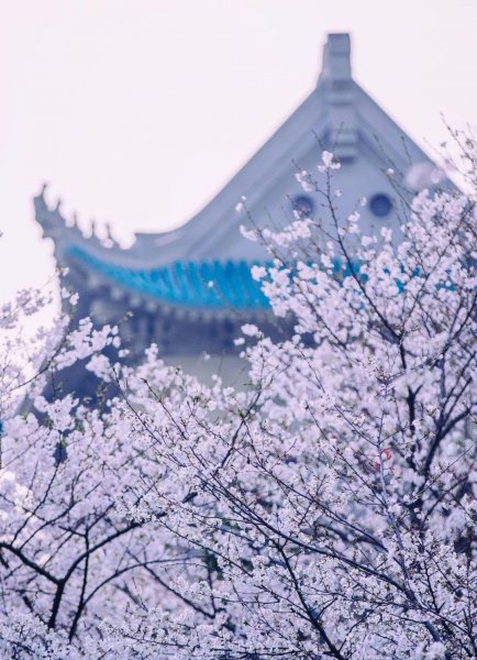 湖北有什么大学名单大全