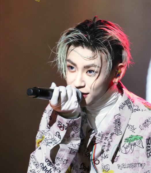 小鬼王琳凯的资料