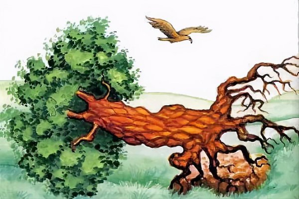 克雷洛夫寓言故事有哪些