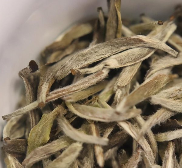 白毫银针口感与特点