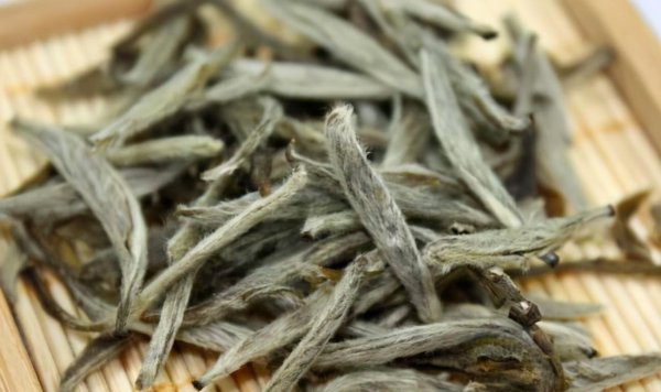 白毫银针口感与特点