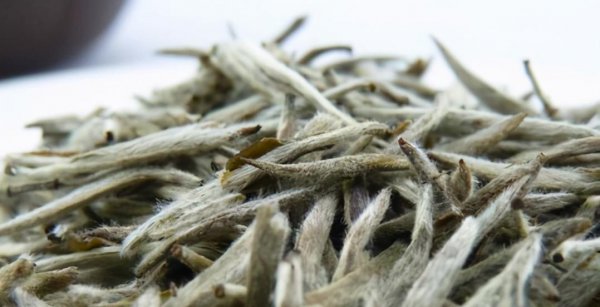 白毫银针口感与特点