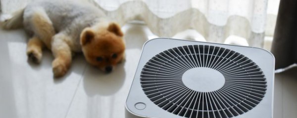 怎么选择家用空气净化器