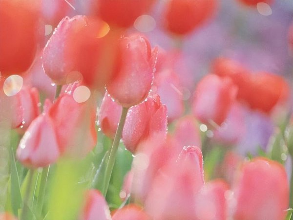 与天秤男恋爱大忌