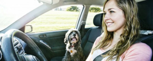 怎么判断车身是否直了