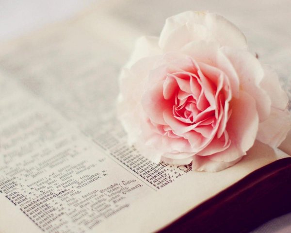 女生如何拿下喜欢的男生