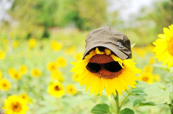 女生如何拿下喜欢的男生