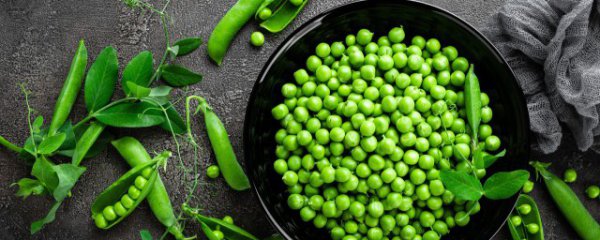 豌豆适合在什么季节种植