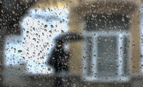 被雨淋过的头发要洗吗