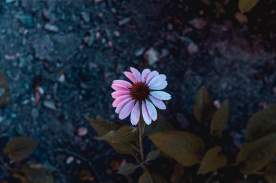 一别两宽各生欢喜是什么意思 理解这句话具体指什么含义