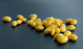 新鲜黄豆多久能熟 黄豆是什么