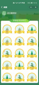 蚂蚁森林种树有什么用 支付宝玩蚂蚁森林有什么好处