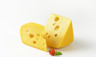 奶酪一次吃多少合适 奶酪怎么吃