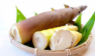 苦笋煮多少分钟才能熟 苦笋煮几分钟可以熟