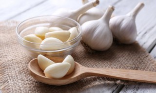 东北冬天种植大蒜可以吗 东北冬天种植大蒜行不行