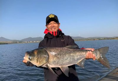 鲢鳙饵料配方绝招 野钓鲢鳙的饵料配方大全都有什么