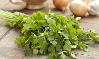 什么蔬菜适合春天种 适合春天种植的蔬菜