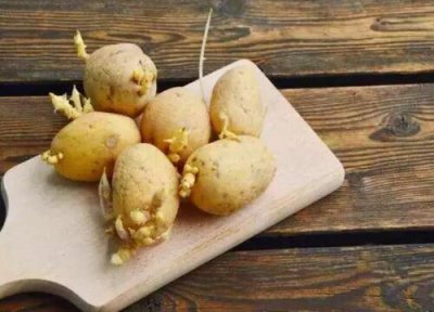 土豆怎么催芽更快 家庭种植土豆催芽让发芽更快速的方法