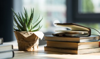 芦荟怎么养才能更旺盛 芦荟的养法