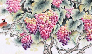 餐厅挂什么画风水好 适合餐厅挂的画推荐